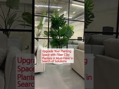 Verbeter uw plantenruimte met kunststofkleiplanters Een must-have bij het zoeken naar oplossingen