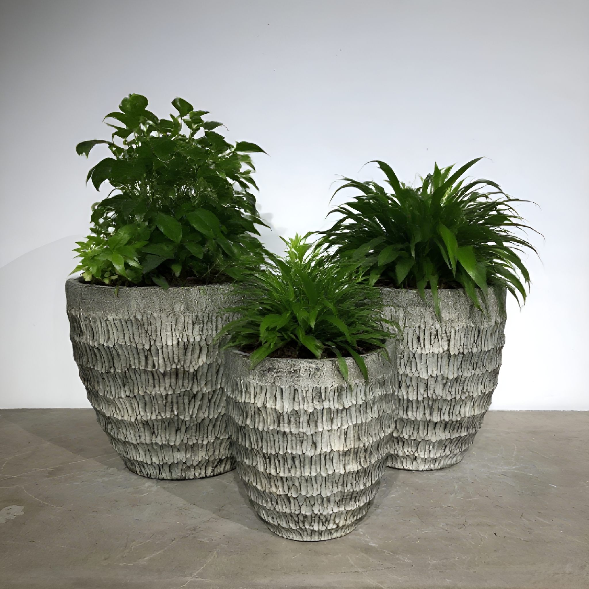 Laatste bedrijfsblogs Cement bloempotten: Wabi - Sabi Style in het leven gebracht