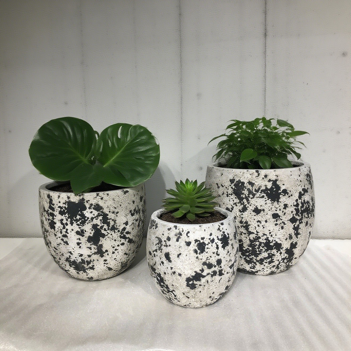 Laatste bedrijfsblogs Cement bloempotten. Plant Galaxy Fragments in het leven.