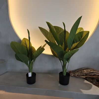 kopen Langdurig kunststofmateriaal kunstmatige planten 70 cm kunstmatige dieffenbachia boom online manufacture