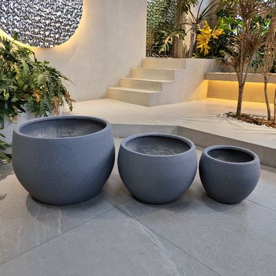 kopen Brandbestendige kleivezelplanter vorstbestendig voor tuin online manufacture