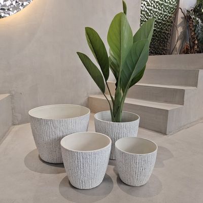 kopen Buitenboom Plastic bloempotten Groothandelsfabrikant online manufacture
