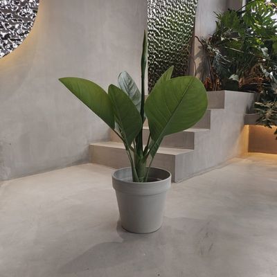 kopen Vibrant, milieuvriendelijk, waterdicht 250 x 175 x 230 mm online manufacture