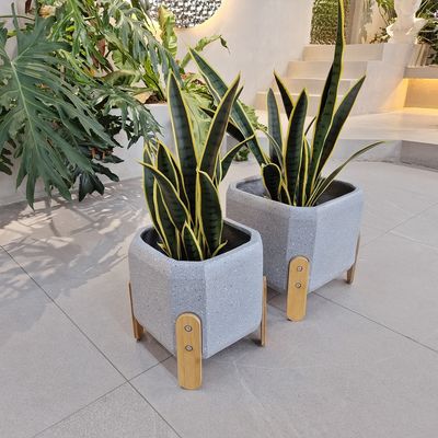 kopen Gepersonaliseerd ontwerp Moderne stijl Glasvezel Planter met hand gesneden afwerking online manufacture