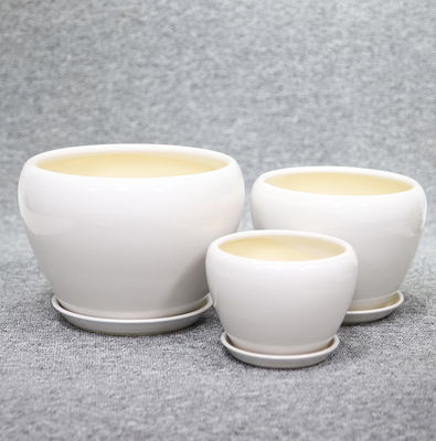kopen Verbazingwekkende plantenscherm met onze keramische potten betaalbare prijzen online manufacture
