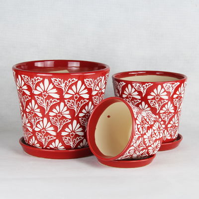 kopen Unieke keramische potten voor een bijzondere en opvallende plantencollectie online manufacture