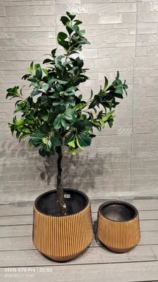 kopen Op maat gemaakte vezelkleiplanter met 7-8 jaar binnenleven Ronde vorm online manufacture
