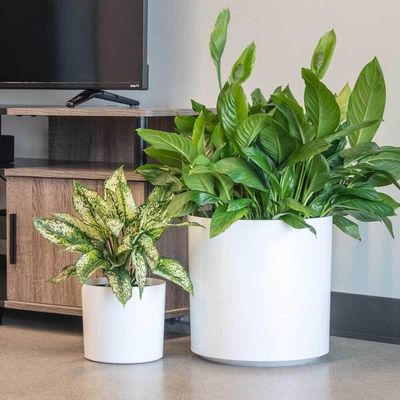 Op maat gemaakte glasvezel bloemplantenpotten rond voor binnenplanten