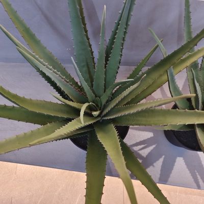 Levensechte Aloe Plastic Plant Indoor Outdoor Kunstmatige Aloe Vera Faux Groen Decoratie