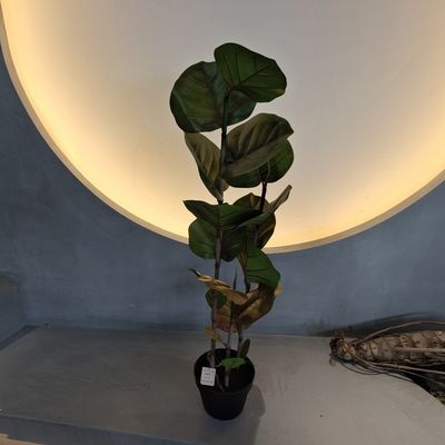 100 cm kunstmatige kokkolaboom UV-bestand