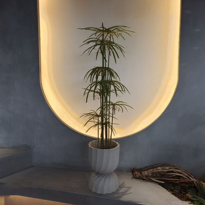 UV-bestendige kunststof voor valse planten kunstmatige graptopetalum boom