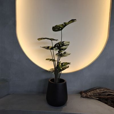 Insectenbestendige valse monstera boom 70-100 cm Voor onderhoudsvriendelijk decor