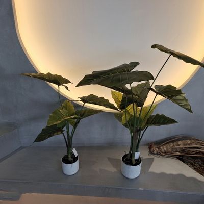 Hypoallergeen kunstmatig kunstmatig kunstmatig kunstmatig kunstmatig kunstmatig kunstmatig kunstmatig kunstmatig kunstmatig kunstmatig kunstmatig kunstmatig