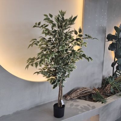 Hypoallergeen kunststof, nepplanten, insectenbestendige 120 cm