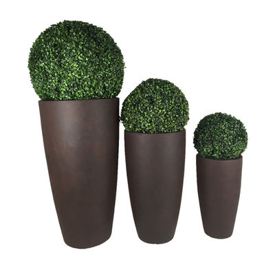 Zoek de beste kleiplanten voor uw tuin tegen betaalbare prijzen