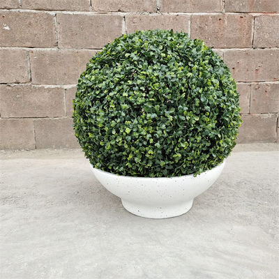 Schotelvorm Kleine grootte Schotelplanterdoos Voor binnen buiten Tuin