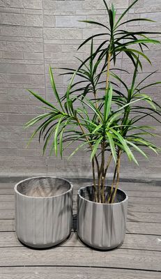 Aanpasbare kleivezelplanter - weerbestendig
