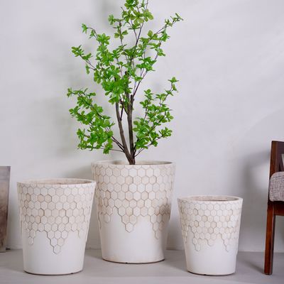 Moderne Vintage Bloempot Vetplantenrek Aanpasbaar Scandinavisch Woondecoratie
